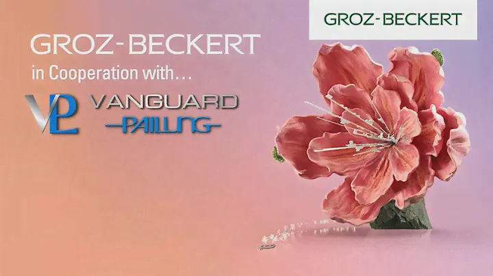 Circular Knitting: Cooperation Vanguard Pailung and Groz-Beckert